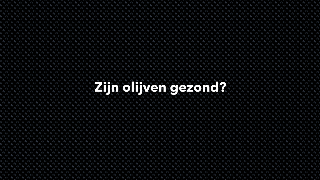 Zijn olijven gezond? - VOLNUTRITION